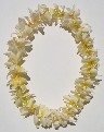 plumeria
